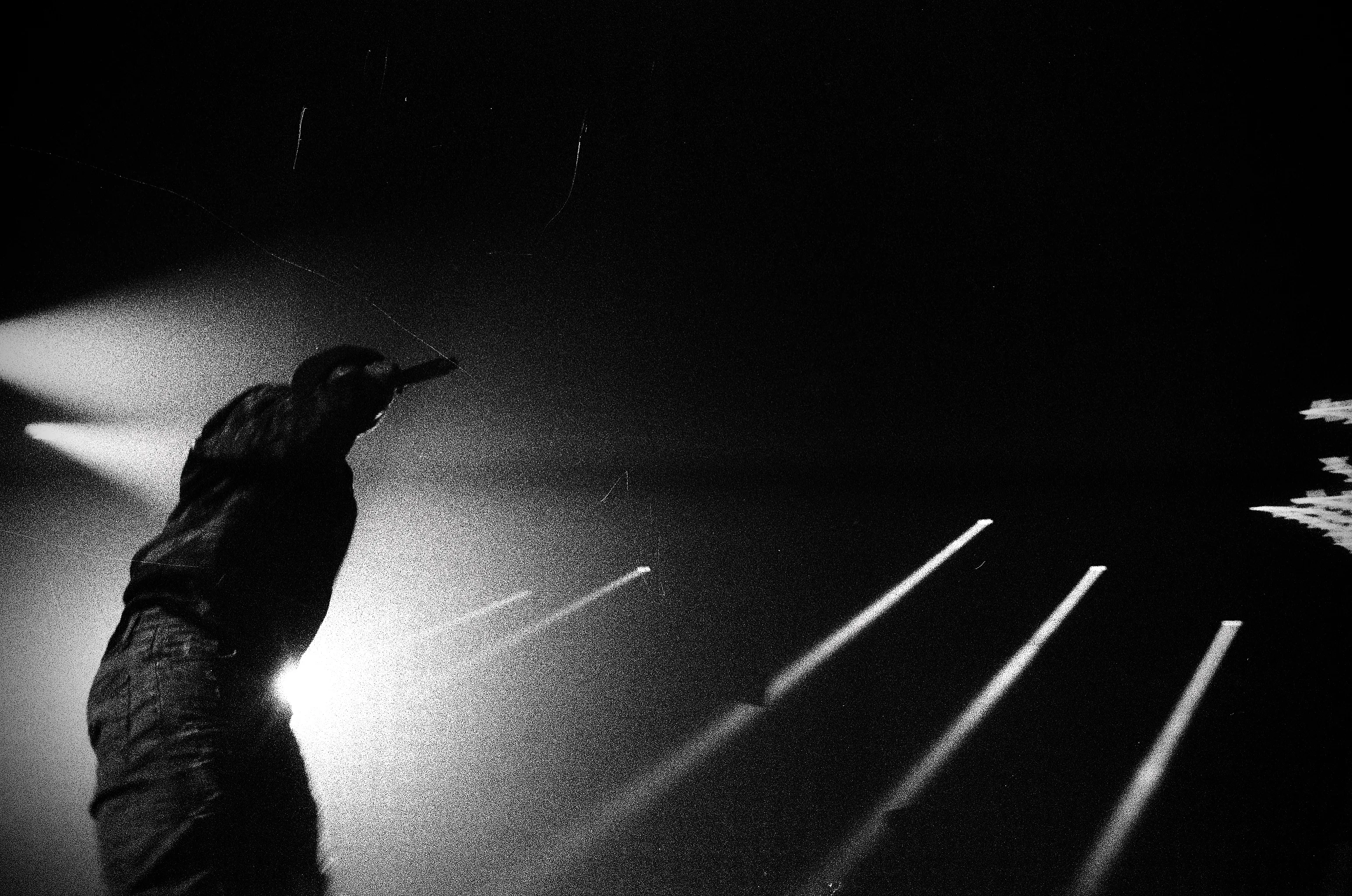 Hałas Festival 2026